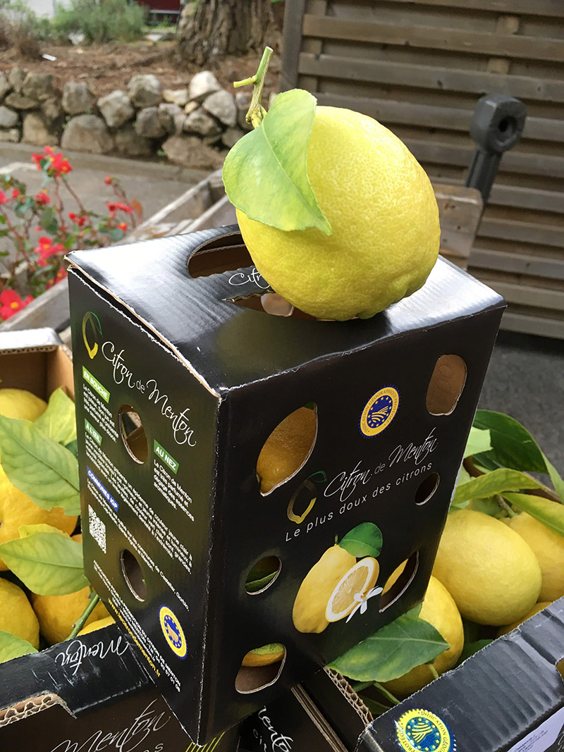 Photographie d'un citron de Menton et son conditionnement IGP - © APCM